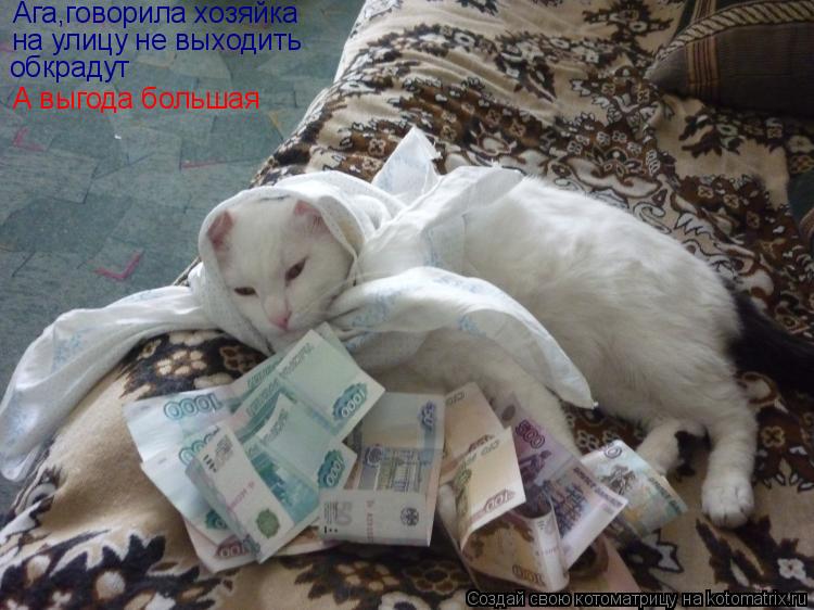 Котоматрица: Ага,говорила хозяйка на улицу не выходить  обкрадут А выгода большая
