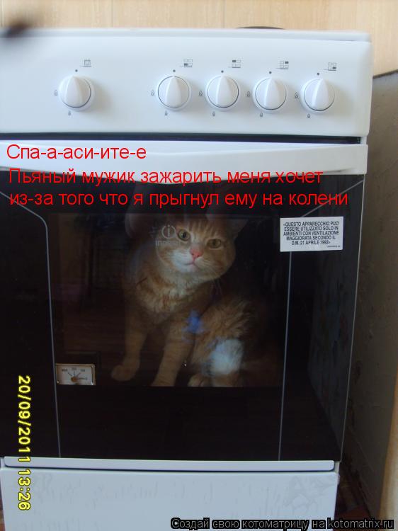 Котоматрица: Спа-а-аси-ите-е Пьяный мужик зажарить меня хочет из-за того что я прыгнул ему на колени