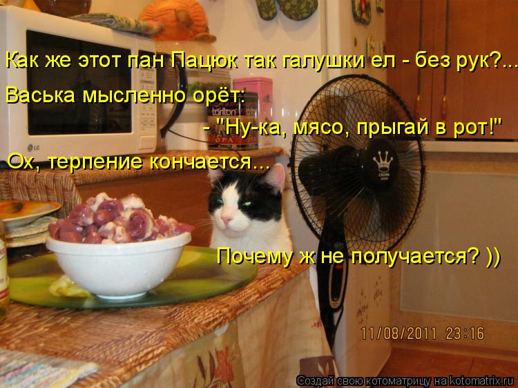 Котоматрица: Как же этот пан Пацюк так галушки ел - без рук?...  Васька мысленно орёт:  - "Ну-ка, мясо, прыгай в рот!" Ох, терпение кончается... Почему ж не получа