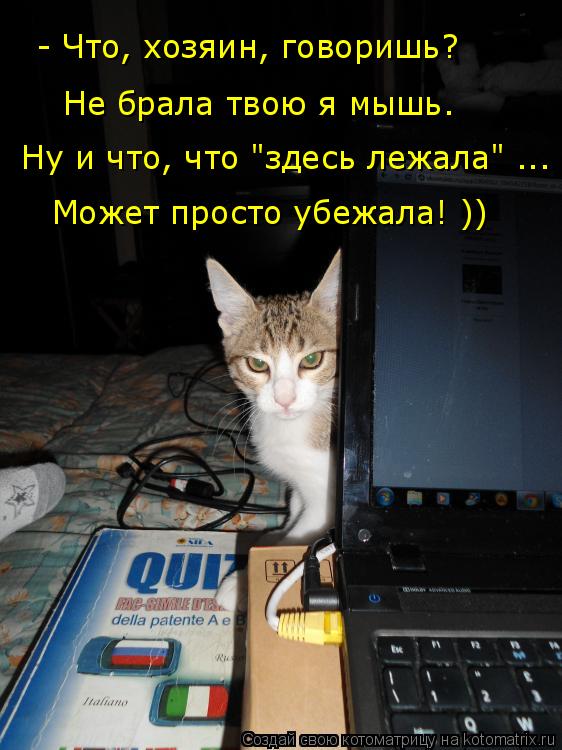 Котоматрица: - Что, хозяин, говоришь?  Не брала твою я мышь. Ну и что, что "здесь лежала" ... Может просто убежала! ))