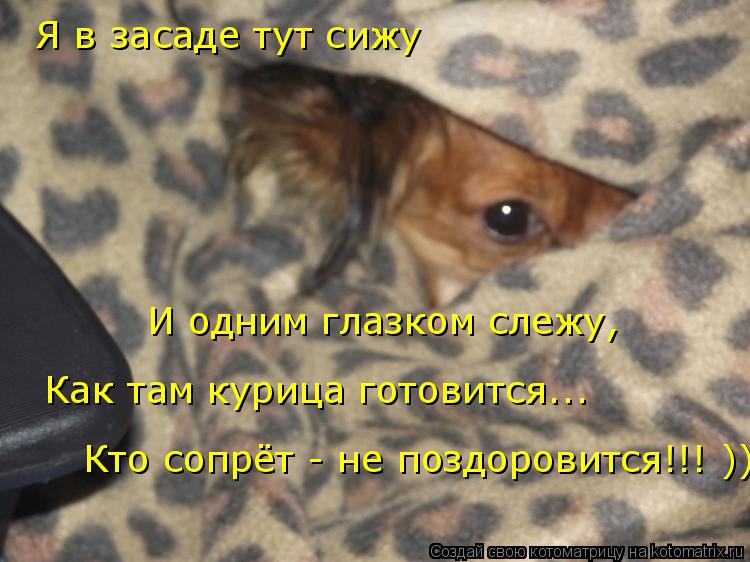 Котоматрица: Я в засаде тут сижу И одним глазком слежу, Как там курица готовится... Кто сопрёт - не поздоровится!!! ))