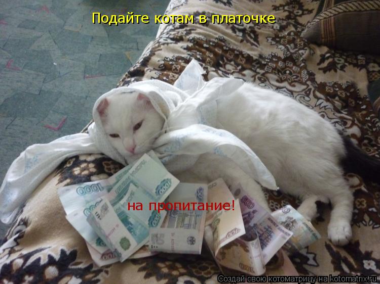 Котоматрица: Подайте котам в платочке на пропитание!