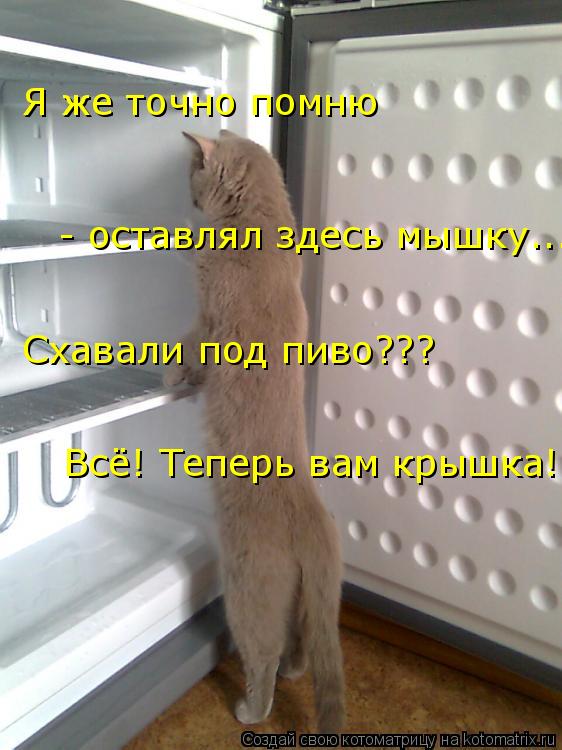 Я же точно помню - оставлял здесь мышку... Схавали под пиво??? Всё! Теперь вам крышка!... Котоматрица: Я же точно помню - оставлял здесь мышку... Схавали под пиво??? Всё! Теперь вам крышка!