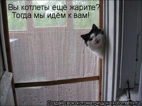 Вы котлеты ещё жарите? Тогда мы идём к вам!... Котоматрица: Вы котлеты ещё жарите? Тогда мы идём к вам!