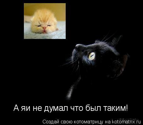 Котоматрица: А яи не думал что был таким!
