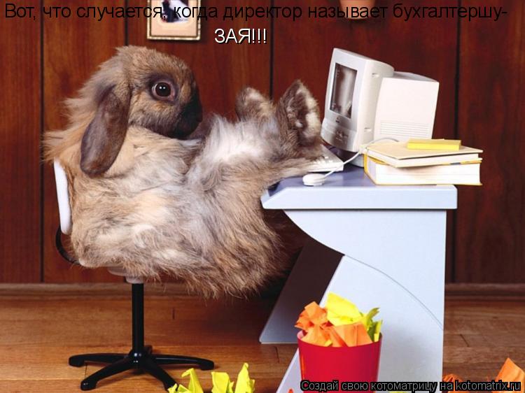 Вот, что случается, когда директор называет бухгалтершу- ЗАЯ!!!... Котоматрица: Вот, что случается, когда директор называет бухгалтершу- ЗАЯ!!!