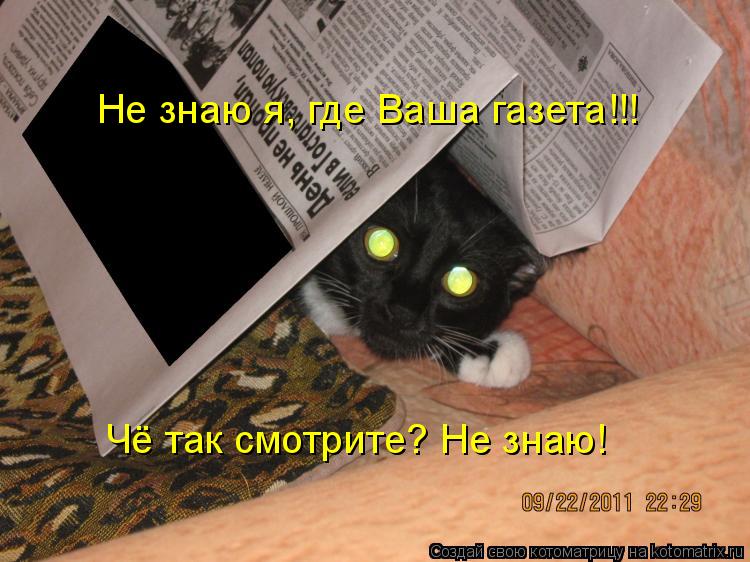 Не знаю я, где Ваша газета!!! Чё так смотрите? Не знаю!... Котоматрица: Не знаю я, где Ваша газета!!! Чё так смотрите? Не знаю!