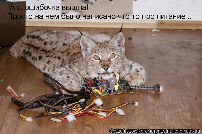 Котоматрица: Упс, ошибочка вышла!  Просто на нем было написано что-то про питание...