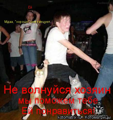 Котоматрица: Не волнуйся хозяин  мы поможем тебе Ей понравиться! Ей Мдаа, "хорошо" они танцуют.
