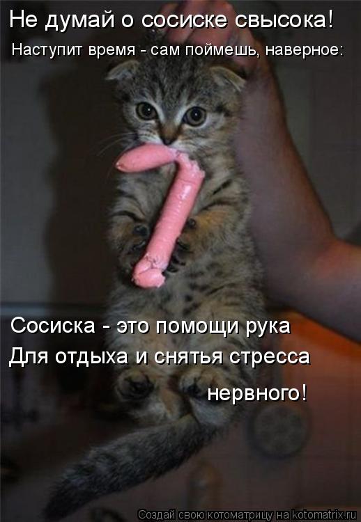 Не думай о сосиске свысока! Сосиска - это помощи рука Наступит время - сам поймешь, наверное: Для от... Котоматрица: Не думай о сосиске свысока! Сосиска - это помощи рука Наступит время - сам поймешь, наверное: Для отдыха и снятья стресса нервного!