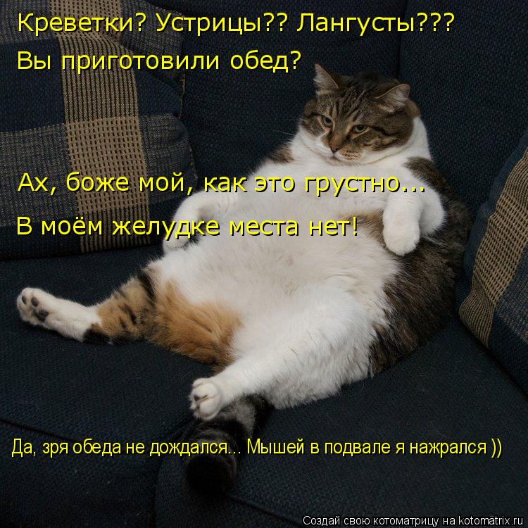 Креветки? Устрицы?? Лангусты??? Вы приготовили обед? Ах, боже мой, как это грустно... В моём желудке ... Котоматрица: Креветки? Устрицы?? Лангусты??? Вы приготовили обед? Ах, боже мой, как это грустно... В моём желудке места нет! Да, зря обеда не дождался... Мышей