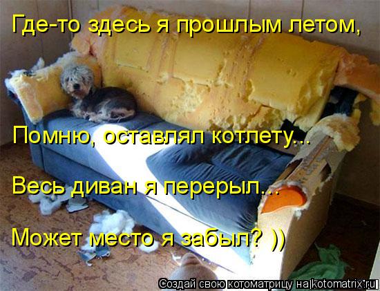 Где-то здесь я прошлым летом, Помню, оставлял котлету... Весь диван я перерыл... Может место я забыл?... Котоматрица: Где-то здесь я прошлым летом, Помню, оставлял котлету... Весь диван я перерыл... Может место я забыл? ))