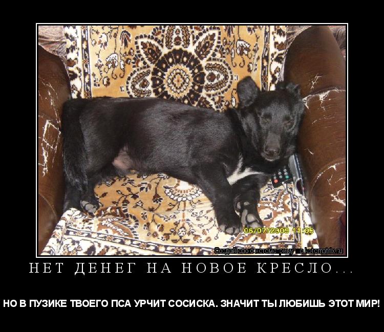 НЕТ ДЕНЕГ НА НОВОЕ КРЕСЛО... НО В ПУЗИКЕ ТВОЕГО ПСА УРЧИТ СОСИСКА. ЗНАЧИТ ТЫ ЛЮБИШЬ ЭТОТ МИР!... Котоматрица: НЕТ ДЕНЕГ НА НОВОЕ КРЕСЛО... НО В ПУЗИКЕ ТВОЕГО ПСА УРЧИТ СОСИСКА. ЗНАЧИТ ТЫ ЛЮБИШЬ ЭТОТ МИР!