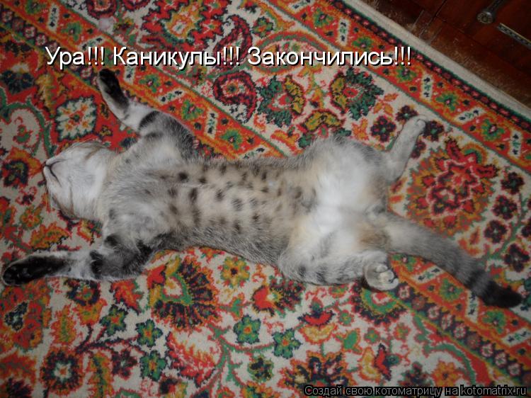 Ура!!! Каникулы!!! Закончились!!!... Котоматрица: Ура!!! Каникулы!!! Закончились!!!