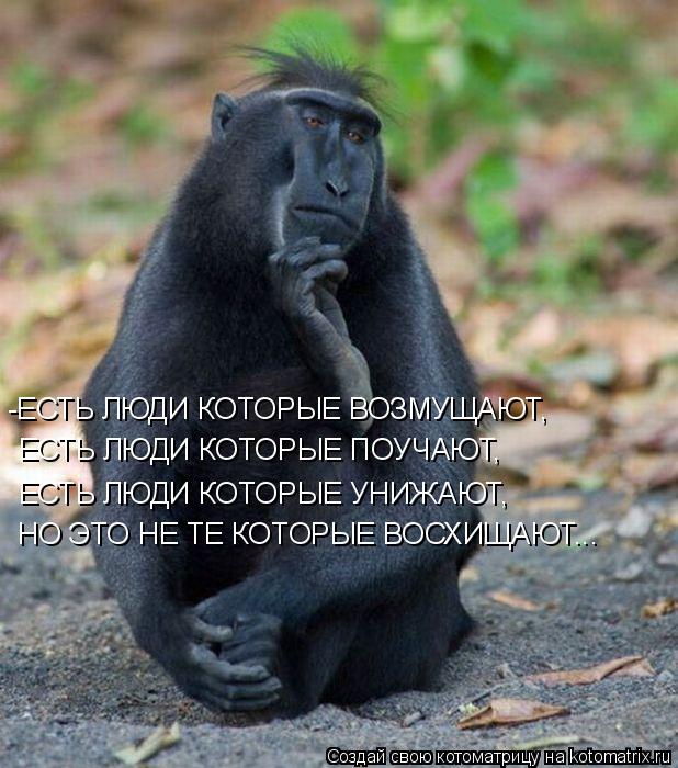 Котоматрица: -ЕСТЬ ЛЮДИ КОТОРЫЕ ВОЗМУЩАЮТ, ЕСТЬ ЛЮДИ КОТОРЫЕ ПОУЧАЮТ, ЕСТЬ ЛЮДИ КОТОРЫЕ УНИЖАЮТ, НО ЭТО НЕ ТЕ КОТОРЫЕ ВОСХИЩАЮТ...