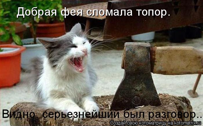 Котоматрица: Добрая фея сломала топор. Видно, серьезнейший был разговор...