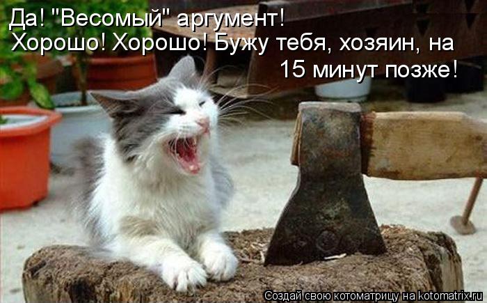 Котоматрица: Да! "Весомый" аргумент! Хорошо! Хорошо! Бужу тебя, хозяин, на  15 минут позже!