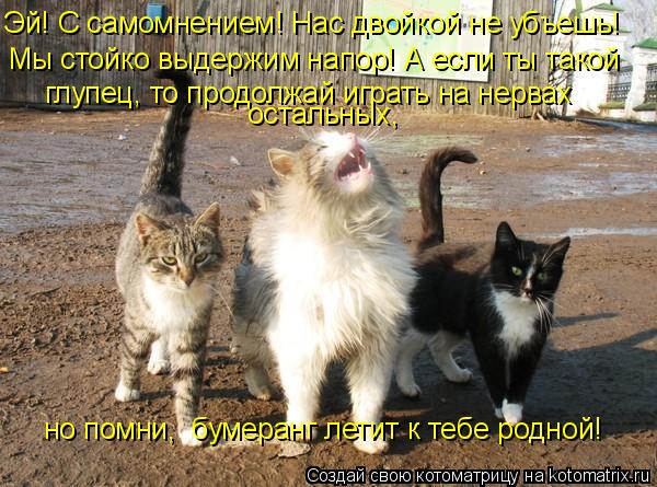 Эй! С самомнением! Нас двойкой не убъешь! Мы стойко выдержим напор! А если ты такой глупец, то про... Котоматрица: Эй! С самомнением! Нас двойкой не убъешь! Мы стойко выдержим напор! А если ты такой глупец, то продолжай играть на нервах но помни, бумеран