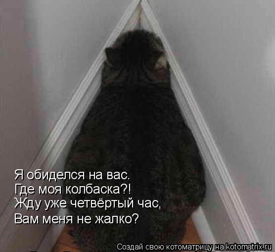 Котоматрица: Я обиделся на вас. Где моя колбаска?! Жду уже четвёртый час, Вам меня не жалко?