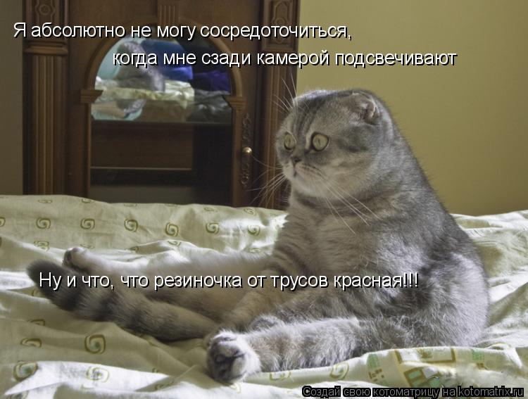 Котоматрица: Я абсолютно не могу сосредоточиться, когда мне сзади камерой подсвечивают Ну и что, что резиночка от трусов красная!!!