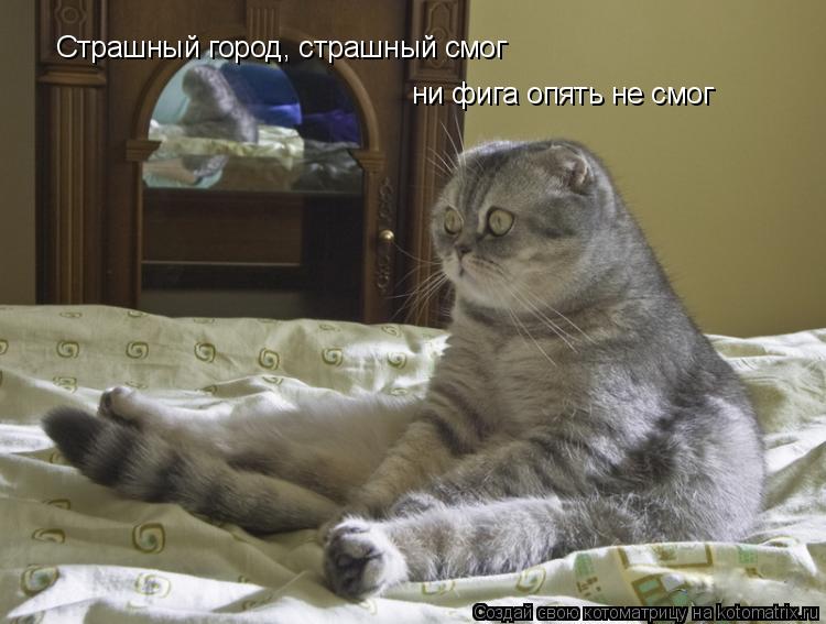 Котоматрица: Страшный город, страшный смог ни фига опять не смог