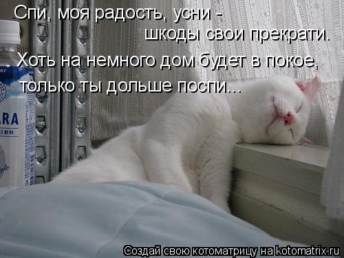 Котоматрица: Спи, моя радость, усни - шкоды свои прекрати. Хоть на немного дом будет в покое, только ты дольше поспи...