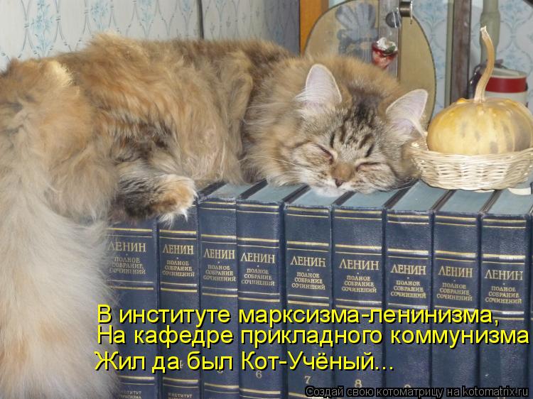 Котоматрица: На кафедре прикладного коммунизма В институте марксизма-ленинизма, Жил да был Кот-Учёный...