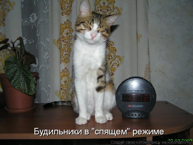 Будильники в "спящем" режиме... Котоматрица: Будильники в "спящем" режиме