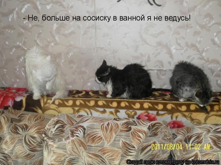 - Не, больше на сосиску в ванной я не ведусь!... Котоматрица: - Не, больше на сосиску в ванной я не ведусь!