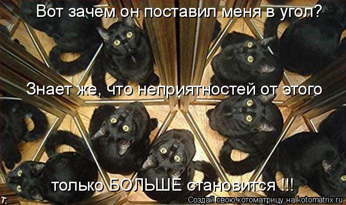 Вот зачем он поставил меня в угол? Знает же, что неприятностей от этого только БОЛЬШЕ становится !!!... Котоматрица: Вот зачем он поставил меня в угол? Знает же, что неприятностей от этого только БОЛЬШЕ становится !!!