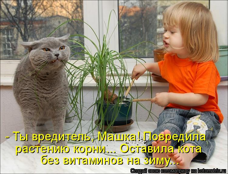 - Ты вредитель, Машка! Повредила растению корни... Оставила кота без витаминов на зиму...... Котоматрица: - Ты вредитель, Машка! Повредила растению корни... Оставила кота без витаминов на зиму...