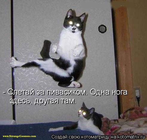 - Слетай за пивасиком. Одна нога здесь, другая там.... Котоматрица: - Слетай за пивасиком. Одна нога здесь, другая там.