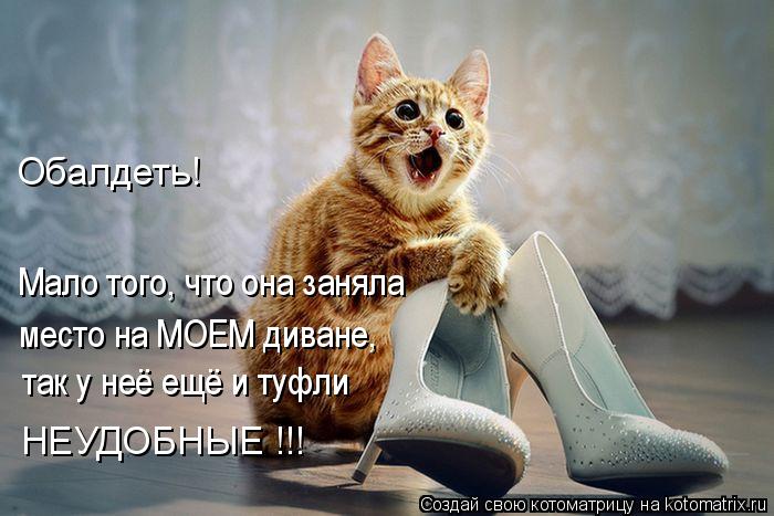 так у неё ещё и туфли НЕУДОБНЫЕ !!! Мало того, что она заняла место на МОЕМ диване, Обалдеть!... Котоматрица: так у неё ещё и туфли НЕУДОБНЫЕ !!! Мало того, что она заняла место на МОЕМ диване, Обалдеть!