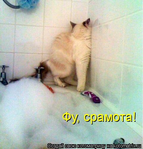 Котоматрица: Фу, срамота!