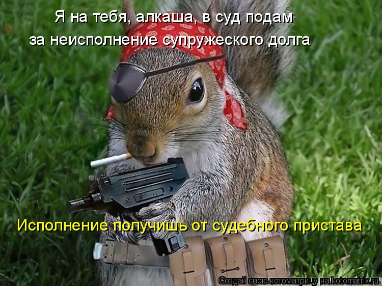 Я на тебя, алкаша, в суд подам за неисполнение супружеского долга Исполнение получишь от судебного п... Котоматрица: Я на тебя, алкаша, в суд подам за неисполнение супружеского долга Исполнение получишь от судебного пристава