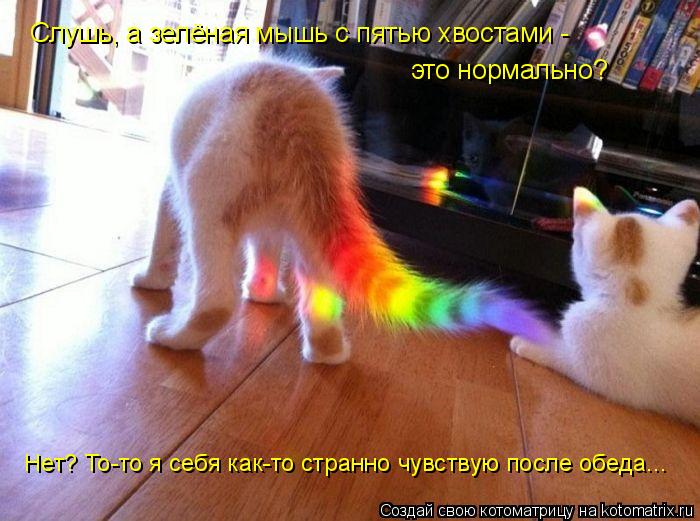 Котоматрица: Слушь, а зелёная мышь с пятью хвостами -  это нормально? Нет? То-то я себя как-то странно чувствую после обеда...