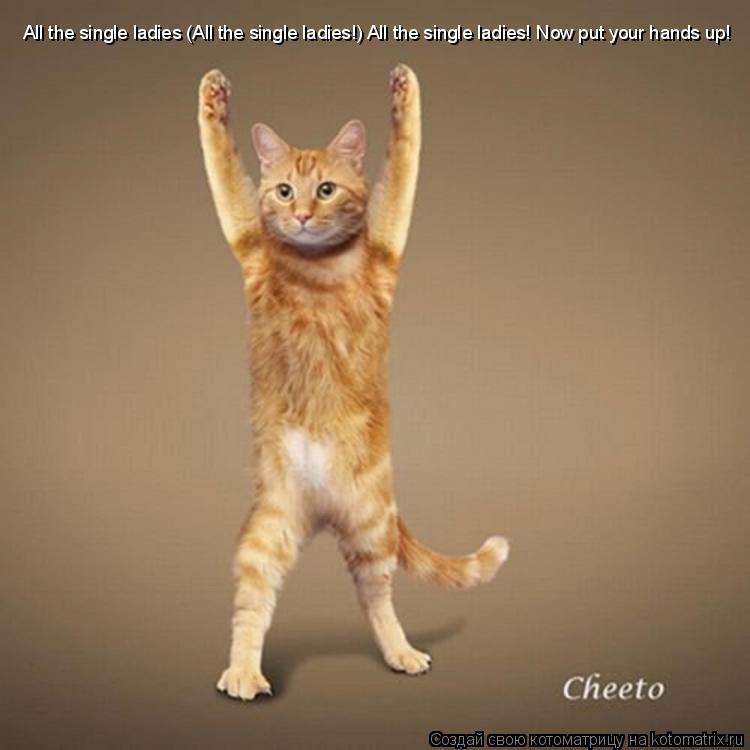 All the single ladies (All the single ladies!) All the single ladies! Now put your hands up!... Котоматрица: All the single ladies (All the single ladies!) All the single ladies! Now put your hands up!