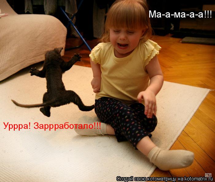 Котоматрица: Ма-а-ма-а-а!!! Уррра! Заррработало!!!