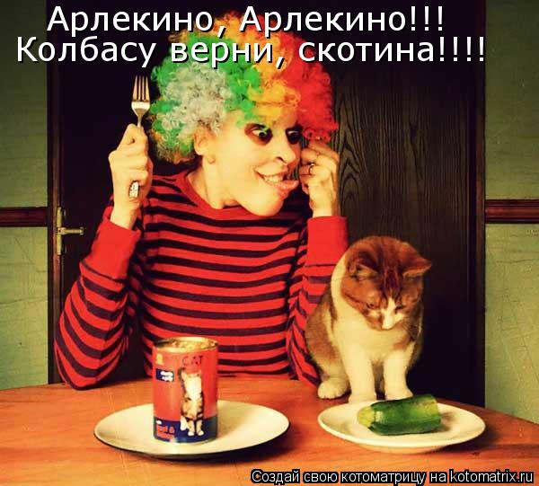 Арлекино, Арлекино!!! Колбасу верни, скотина!!!!... Котоматрица: Арлекино, Арлекино!!! Колбасу верни, скотина!!!!