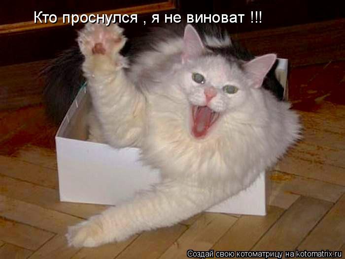 Котоматрица: Кто проснулся , я не виноват !!!