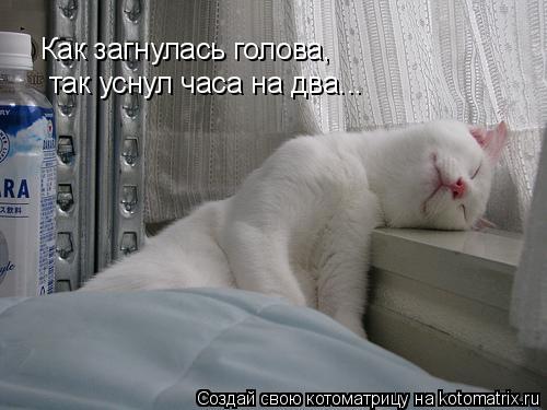 Как загнулась голова, так уснул часа на два...... Котоматрица: Как загнулась голова, так уснул часа на два...