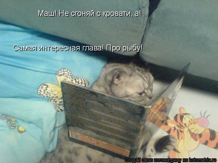 Маш! Не сгоняй с кровати, а! Самая интересная глава! Про рыбу!... Котоматрица: Маш! Не сгоняй с кровати, а! Самая интересная глава! Про рыбу!