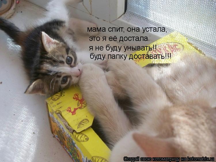 мама спит, она устала, это я её достала. я не буду унывать!! буду папку доставать!!!... Котоматрица: мама спит, она устала, это я её достала. я не буду унывать!! буду папку доставать!!!