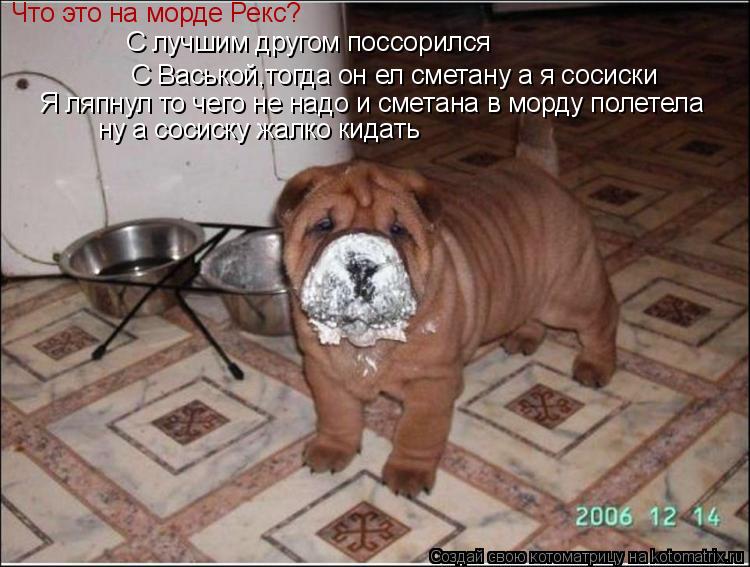 С лучшим другом поссорился С Васькой,тогда он ел сметану а я сосиски Я ляпнул то чего не надо и... Котоматрица: С лучшим другом поссорился С Васькой,тогда он ел сметану а я сосиски Я ляпнул то чего не надо и сметана в морду полетела Что это на морде