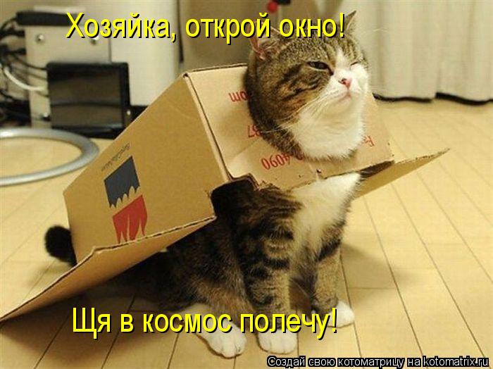 Щя в космос полечу! Хозяйка, открой окно!... Котоматрица: Щя в космос полечу! Хозяйка, открой окно!