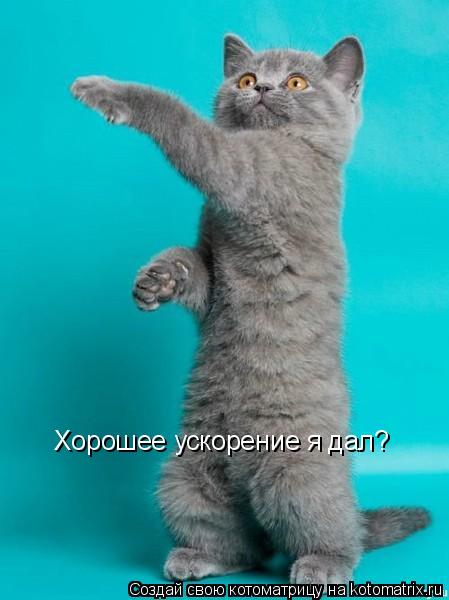 Хорошее ускорение я дал?... Котоматрица: Хорошее ускорение я дал?