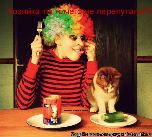 ----------- Хозяйка ты ничего не перепутала???... Котоматрица: ----------- Хозяйка ты ничего не перепутала???