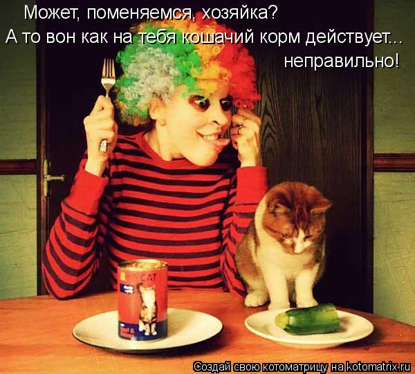 Может, поменяемся, хозяйка? А то вон как на тебя кошачий корм действует... неправильно!... Котоматрица: Может, поменяемся, хозяйка? А то вон как на тебя кошачий корм действует... неправильно!