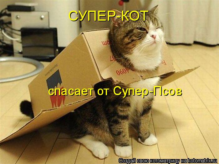 СУПЕР-КОТ спасает от Супер-Псов... Котоматрица: СУПЕР-КОТ спасает от Супер-Псов