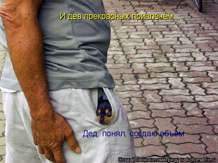 Котоматрица: И дев прекрасных привлечем.... Дед, понял, создаю объем